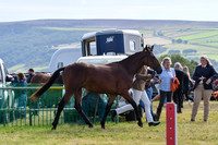 HCH_8727