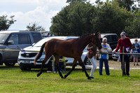 HCH_8729