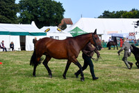 HCH_8733