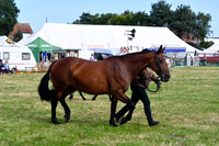 HCH_8734
