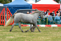 LBC_2196