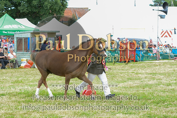 MMS_2450