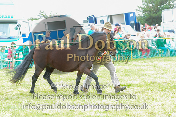SBC_2262