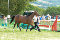 AAC_1060