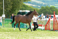 AAC_1061