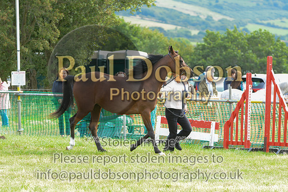 AAC_1061