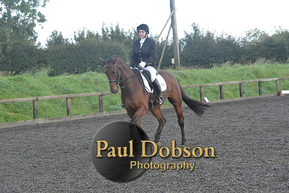 dressage-7310