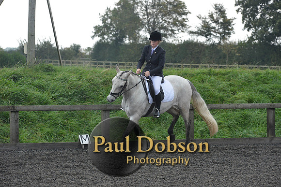 dressage-4554