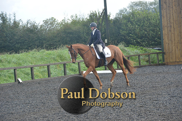 dressage-6784
