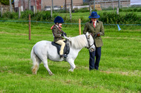 C002 Lead Rein
