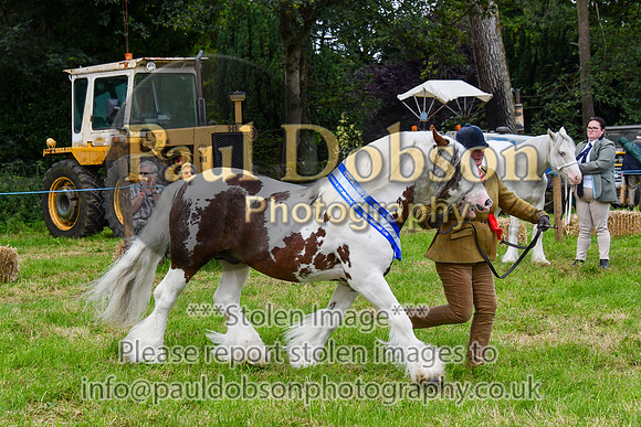 003_0022