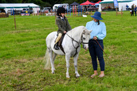 C004 Prettiest Pony