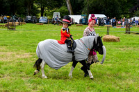 C006 Fancy Dress