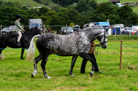 C007 Hunting Horse