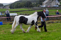 C009 Trad Coloured Cob