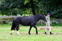 C011 Cob