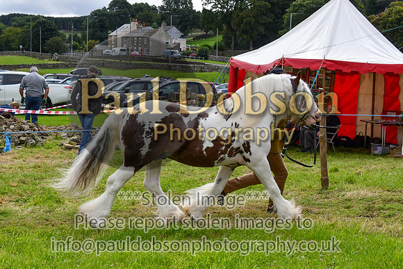 011_0289