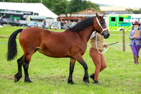 CL124927