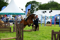 C016A WH Lead Rein