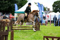 C017 WH Pony