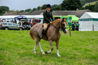 WH2_5309
