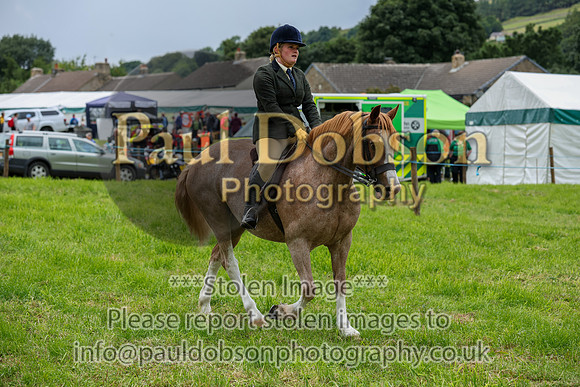 WH2_5309