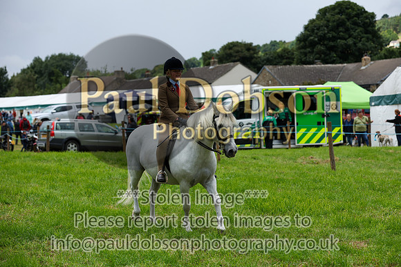 WH2_5324
