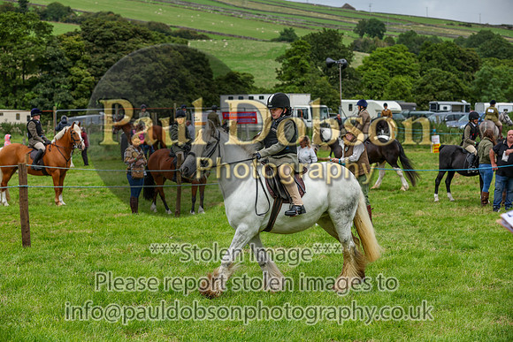 WH2_5339