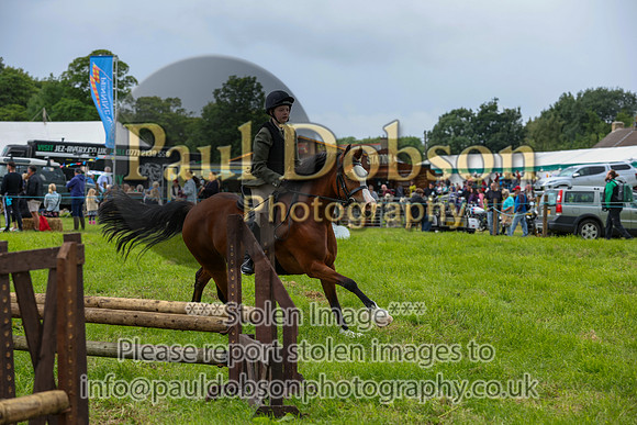 WH2_5355