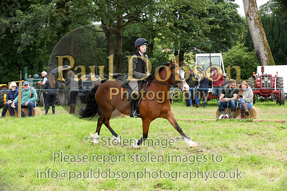 WH2_5359