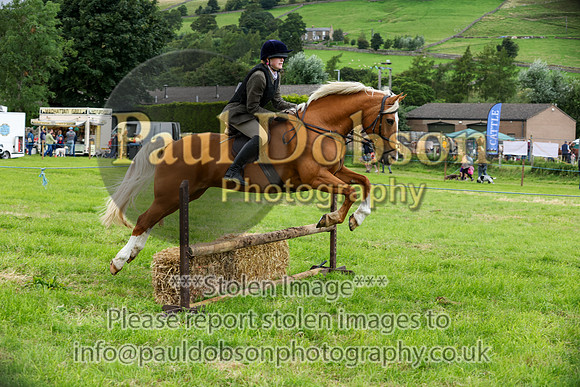 WHH_5480