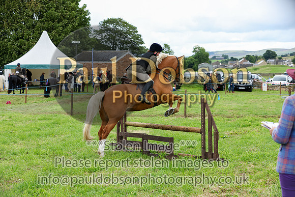WHH_5481