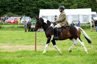 WHH_5491