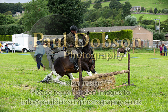 WHH_5498