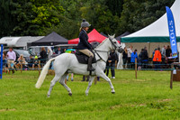 C019 Novice Rider
