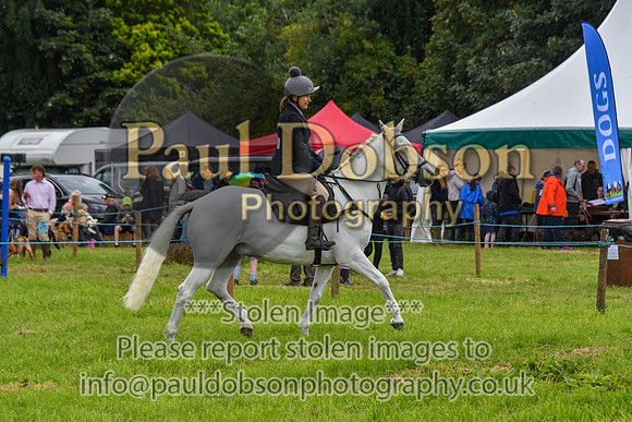 IHC_0928