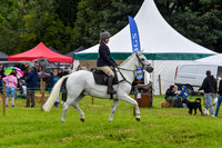 IHC_0929