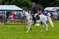 IHC_0937