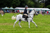 IHC_0936