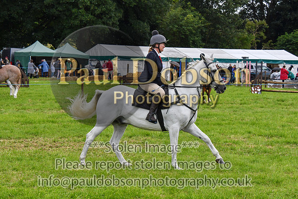 IHC_0936