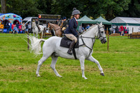 IHC_0935