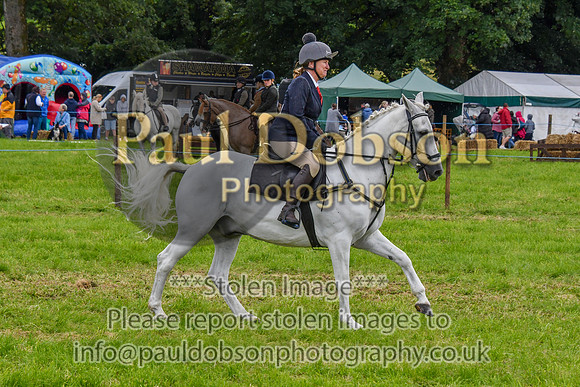IHC_0935