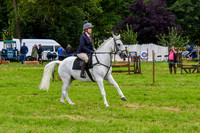 IHC_0934