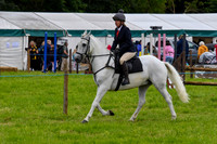 IHC_0938