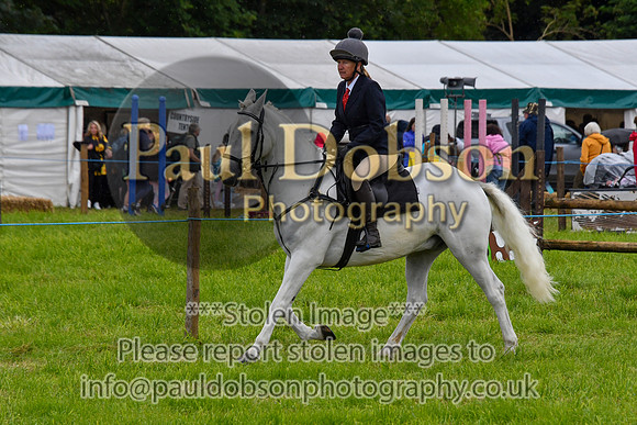 IHC_0938