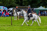IHC_0939