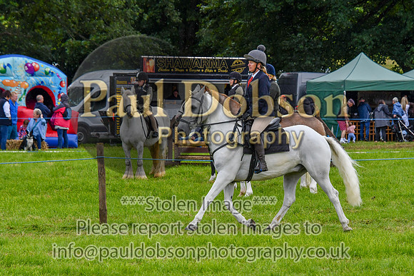 IHC_0939