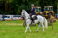 IHC_0942