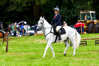 IHC_0943