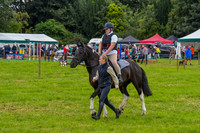 IHC_0944